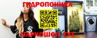 прущие крисы Кимры