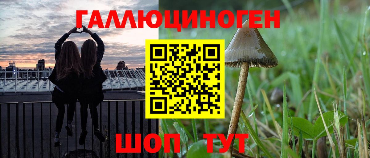 Магнитогорск  Псилоцибиновые грибы Magic Shrooms  Вход с VPN 