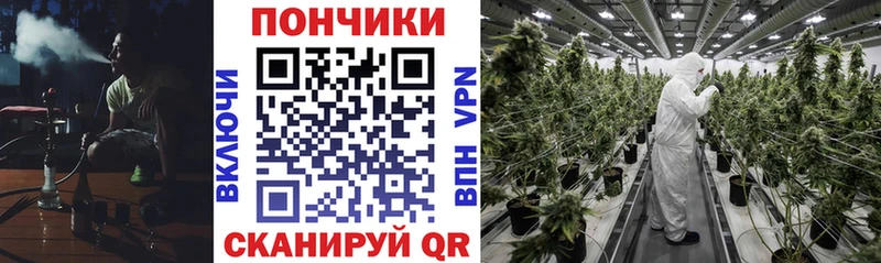 хочу   Магнитогорск  МАРИХУАНА гибрид 